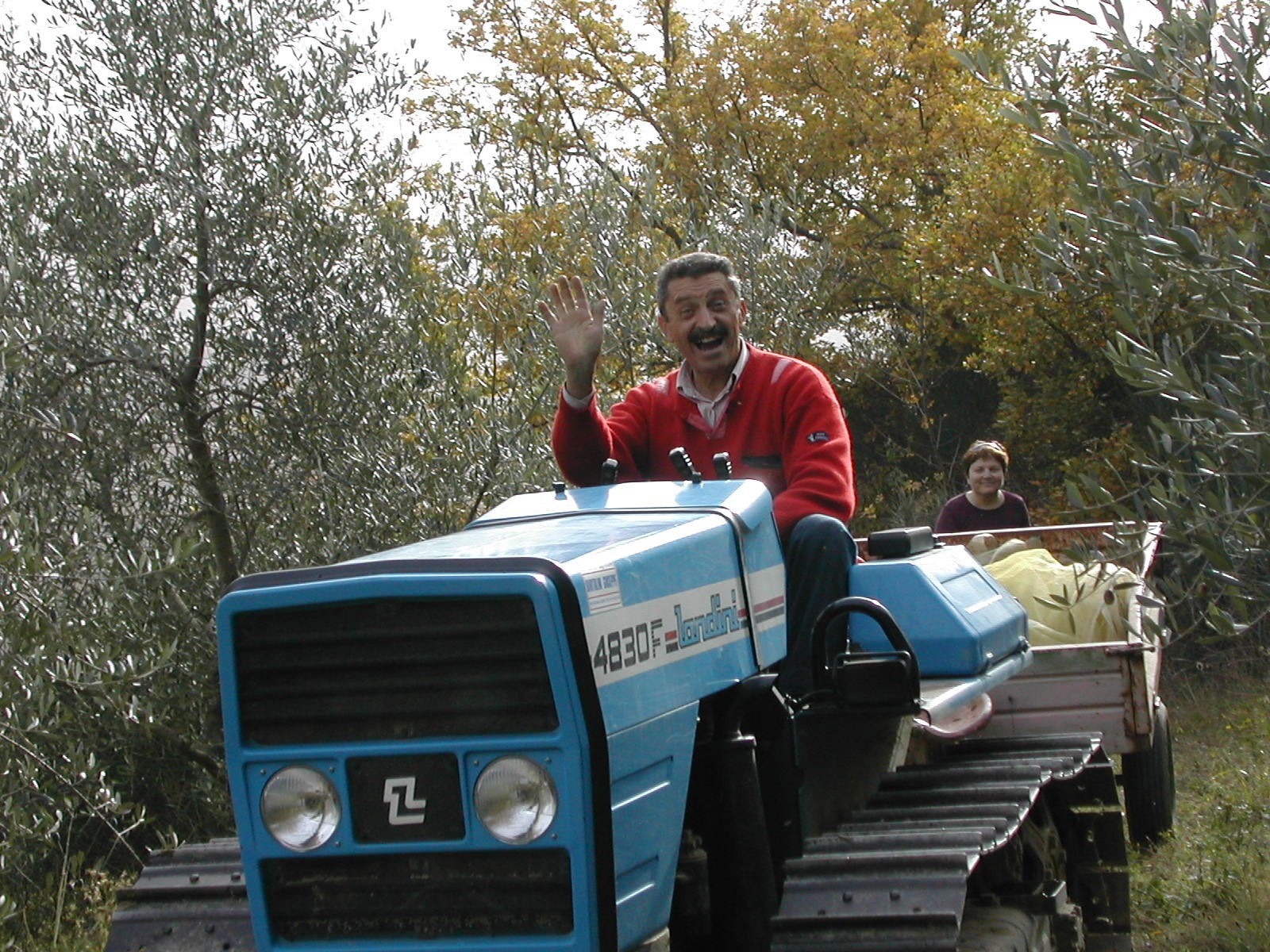 umbrian winter wheat