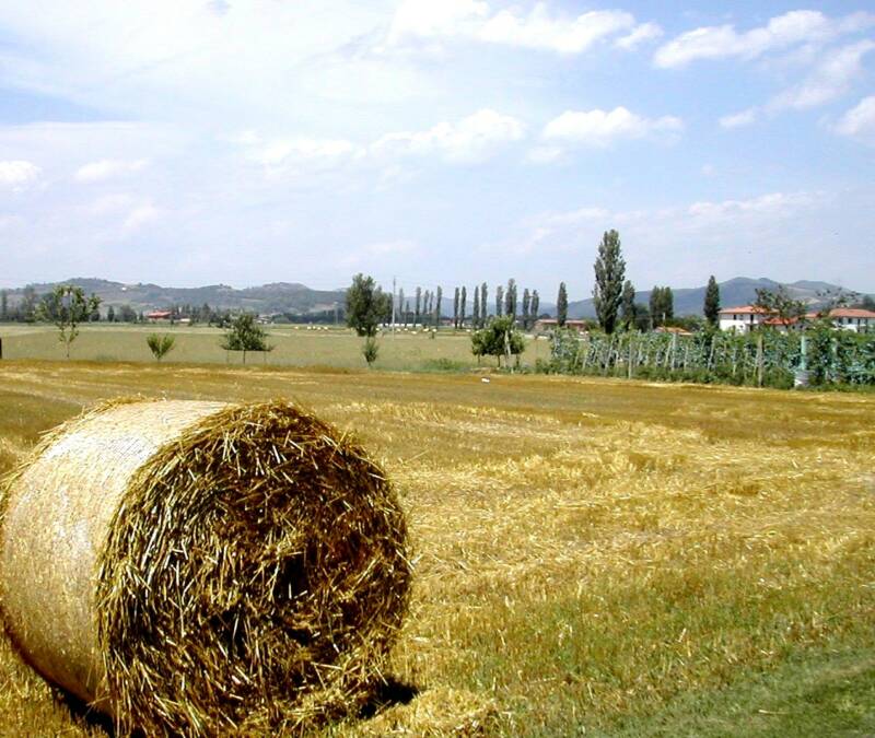 Preggio Chestnut Festival