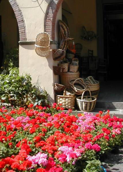 flower market in Greve